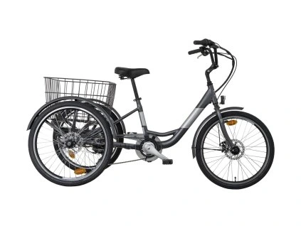 e trojkolka liberty trinity 24 6spd disk zadny motor s diferencialom (1)