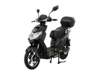 Elektroskútr RACCEWAY® E-FICHTL®, černý-lesklý s baterií 20Ah (Výkon (W) 250)