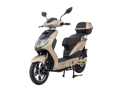 Elektroskútr RACCEWAY® E-FICHTL®, sv.zlatý-matný s baterií 20Ah (Výkon (W) 250)