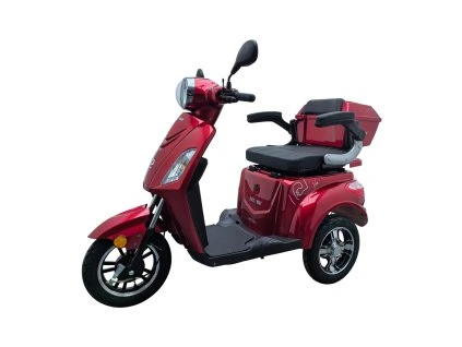 Elektrický tříkolový vozík RACCEWAY® VIA-MS09, vínový lesklý (Výkon (W) 1000)